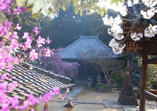 川西市 満願寺